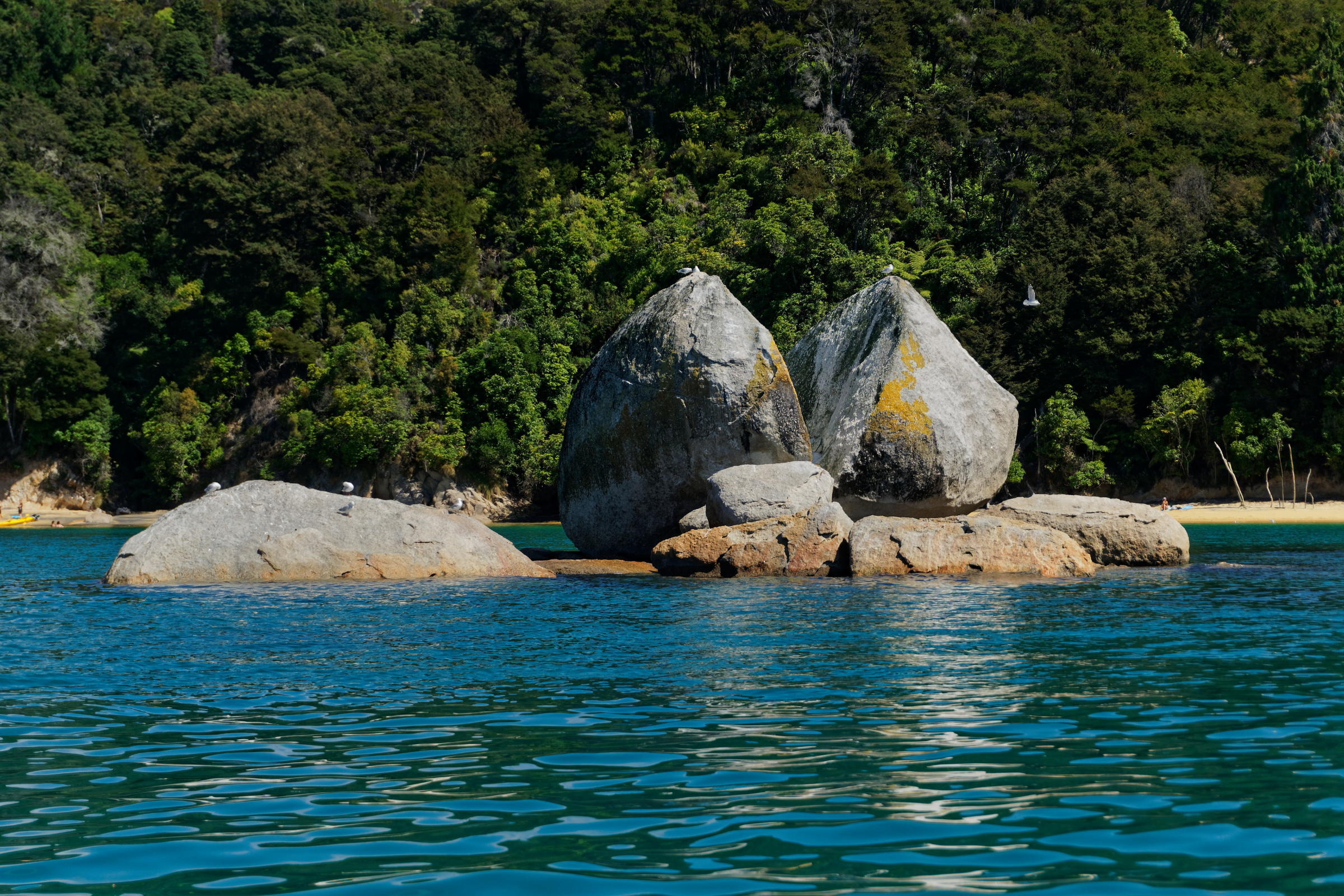 kaiteriteri, south island.webp